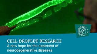 Cell droplet research | A new hope for the treatment of neurodegenerative diseases