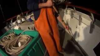 Stripe Bass Fishing on Sea Queen VII Brooklyn NY