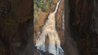 Beautiful Waterfalls inside of Similipal Tiger Reserve   #waterfall #waterfalls #travel #shorts