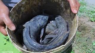 a Lot Fish Under Hole on Dry Season | Finding Fish in Secret Mud Hole on Dry Season