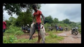 I'm a Fishmonger and I'm EXPOSING the Hidden Village Freshwater Fish Market Secrets!