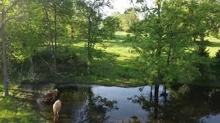 Modern Prairie Estate on 80 +/- Acres For Sale in Southwest Missouri