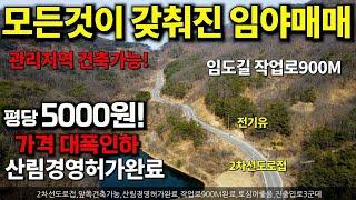 *가격대폭인하*평당5000원~2차선도로접한 건축가능한 임야매매 ~낮은경사도20도 모든것이갖춘임야~임도길 작업로 완료 산림경영허가완료된 임야매매~경북의성임야매물 세상사는 부동산