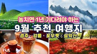 [9월 추천여행지] 설레임과 감동의 9월에 가기 좋은 1박2일 가을여행지 15곳(인스타 성지 경주 포토 핫스팟/웨이팅 지옥 강릉 유명 카페/국내 3대 꽃무릇 축제/설악산 6개 코스