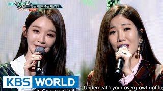 DAVICHI - Love is | 다비치 - 받는 사랑이 주는 사랑에게 [Music Bank / 2016.11.04]