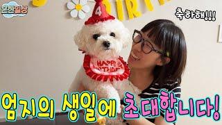 엄지의 4번째 생일파티ㅋㅋㅋㅋ