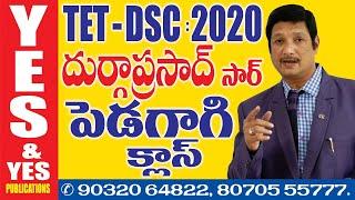 TET DSC సైకాలజీ పెడగాగి క్లాస్ || YES & YES