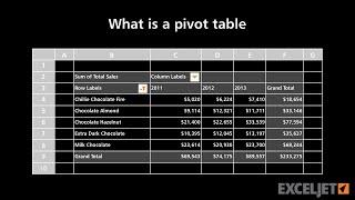 What is a pivot table?