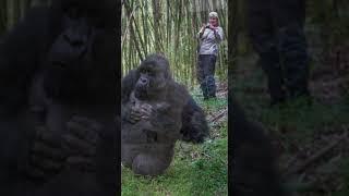 Out of this world experiences with Ranger Buck | YouTube Video