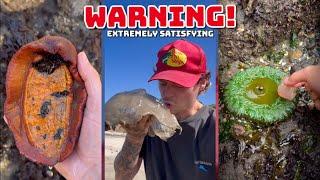 EXTREMELY Satisfying Animal Encounters & RESCUES!