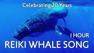 1 Hour Whale Music for Relaxation and Meditation | Reiki Whale Song