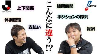 【同じプロでこんな差が！？】野球選手とサッカー選手の内部事情が違い過ぎる...！