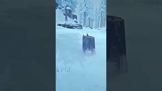 #thelongdark #2023 #пятёрка #летсплей #minecraft