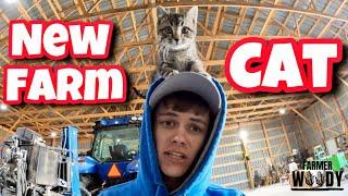 Taking Care of Cows and NEW Farm Cat - 19 Year Old Farmer