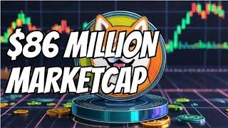 BONE SHIBA SWAP TOKEN $86.70 MILLION MARKET CAP