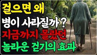 지금껏 몰랐던 걷기의 놀라운 치료 효과! 더 늦기 전에 당장 걸으세요! / 누구라도 따라 할 수 있는 화제의 '걷기' 건강법!  / 병의 90%는 걷기만 해도 낫는다