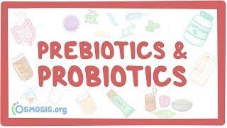 Prebiotics & probiotics