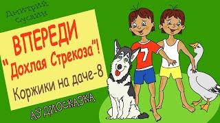 Сказки на ночь. Аудиосказка Коржики на даче-8 Впереди Дохлая стрекоза. Аудиосказки для всех