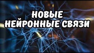 Новые нейронные связи