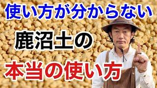 【みんな買わない】鹿沼土の驚くべき性質を利用して下さい　　　　　【カーメン君】【ガーデニング】【園芸】【初心者】