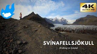 Svínafellsjökull - Walking in Iceland [4K]