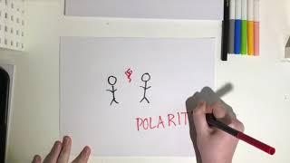 what is POLARITY?