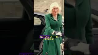 Princess anne best camilla up for upholding royal rules #foryou #royalsfamily #celebrity #youtube