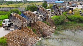 Full Episode, Pour Soil Rocks to Clear the lake Process By GreatTeam DumpTruck With Skills Bulldozer