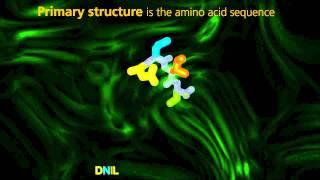 Protein Structure | University Of Surrey