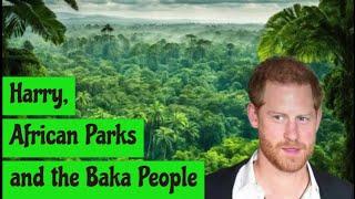 Harry, African Parks and the Baka People