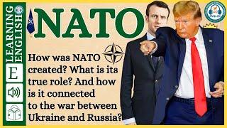 the world of NATO | English stories | Graded Reader |English Listening Practice | WooEnglish