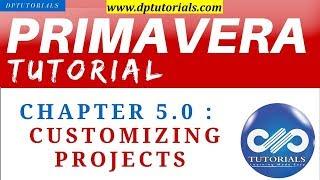 Primavera P6 Tutorials : Chapter -5.0 : Customizing Projects in Primavera P6|| dptutorials