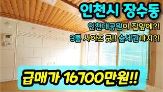 [인천빌라매매] NO.339 인천시 장수동 준신축 빌라 인천대공원역에 가까운 역세권 현장 1억대 숲세권 있는 올수리빌라매매 집주인직거래 현장 [장수동빌라]