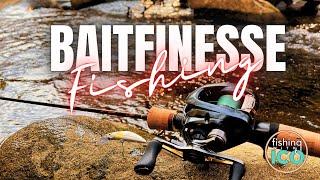 BAITFINESSE FISHING! I explore a STREAM in search of WILD BROWN TROUTS in a BREATHTAKING location.