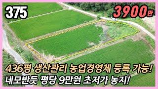 (공주시 이인면 용성리)  도로 접근성 완벽  경지정리된 436평 생산관리 농지  평당 9만원 / 매매가 4천만원 초저가! 농막부지 주말농장 농지원부 대토용 강추!