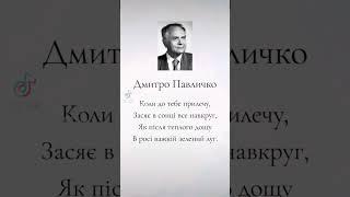 Дмитро Павличко - уривки#вірші #віршіукраїнською #поезіяукраїнською #поезія #українською #письменник