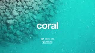 (FREE) | "Coral" | Tems x Victony x Omah Lay Type Beat | Free Beat | Afrobeat Instrumental 2025