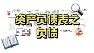 资产负债表之负债。向中央银行借款、吸收存款及同业存放、应付职工薪酬、专项应付款、预计负债、递延收益。