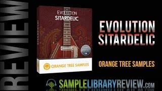 Review Evolution Sitardelic by Orange Tree Samples