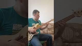 Лабаю слэпом на бас-гитаре #bass #music #гитара