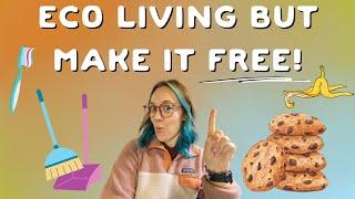 How budget living can save the planet // Zero waste on a budget pt 14!