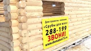 Тюмень Есенино стройки трех бань 2 день работы