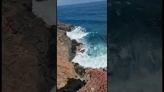 Tenerife - ocean waves  ️️