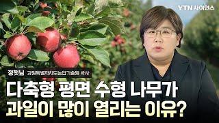 [과학人터뷰] 특별한 모양의 사과나무 스마트 과수 재배기술 개발! / 정햇님_강원특별자치도농업기술원 박사