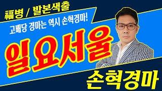 고배당 경마는 역시 손혁경마! 전경주 오픈분석!!! 내용을 확인해보세요!  \ 일요 서울 11-03 손혁 경마예상방송