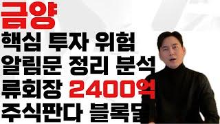 금양 받을수 있는 위험 총 정리 분석 역시 광산 관련 예상 매출 영업익 하락폭 커 노이즈가 크다 시장보는 시선 살펴야 한다 류회장 블록딜!