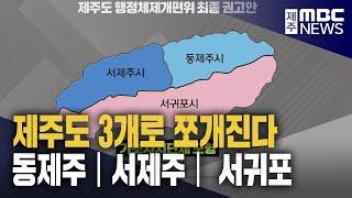 동·서제주시·서귀포시-기초자치 부활안 수용