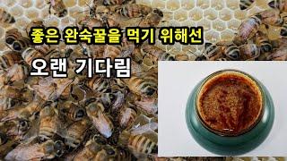 좋은 숙성꿀인 완숙꿀을 먹기 위해서는 오랜 기다림이 필요합니다