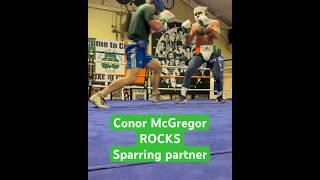 Conor McGregor ROCKS sparring partner #ufc #conormcgregor