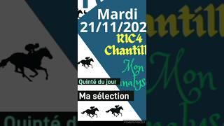 Pronostic quinté Chantilly R1C4-  21/11/2023 #pronostico #quintédujour #shorts